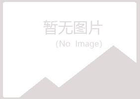 白银平川匆匆金融有限公司